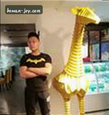 User